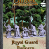 Royal Guard Rangers image