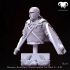Bundle - Roman Auxiliary Cavalryman 1st-2nd C. A.D. Hooves of Honor! image