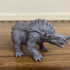 Rhinodon image