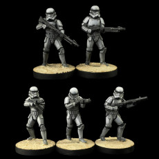 Picture of print of Heavy Imperial Troopers