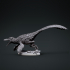 Utahraptor pack image
