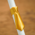 Apple Pencil Tie Clip image