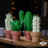 Cute Cactus Home Decor image