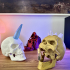 Articulated Skulls - Print-in-Place image