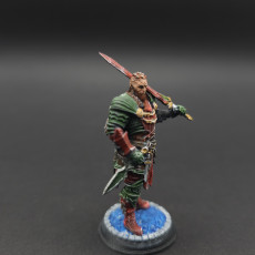 Picture of print of Goliath War Cleric - Akranak