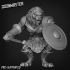 Lion Warrior Bundle image