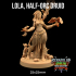 Lola, Half-Orc Druid | PRESUPPORTED | Scrap Slap Goblin Tribes image