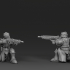 Aurian Guardsmen Light Rifles image