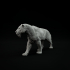 Homotherium walking 1-20 scale pre-supported prehistoric animal image
