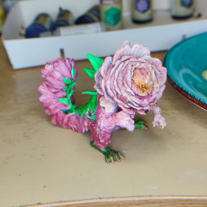 Picture of print of FLORAL DRAGONS - Book 2 - Peony Dragon