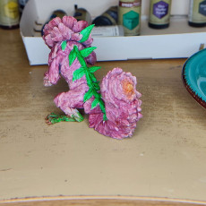 Picture of print of FLORAL DRAGONS - Book 2 - Peony Dragon
