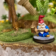 Picture of print of Battle for Shroom Pass - Monopose Gnome Army Reinforcements