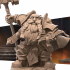 Dwarf High Priest image