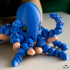 Zou Octopus image