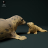 Grey Seal Female and Pup image