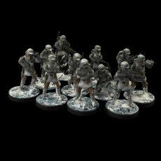 Picture of print of Alliance Winter Trooper Squad