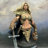 Barbarian female -  Anya - bust-   December 2023 - DRAGONBLADE - MASTERS OF DUNGEONS QUEST print image