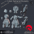 Cyber Captain - Cyber Samurai Dynasty image