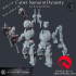 Cyber Tech-Scion - Cyber Samurai Dynasty image