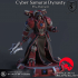 Psy-Overseer - Cyber Samurai Dynasty image