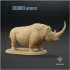Coelodonta antiquitatis : The Woolly Rhinoceros image