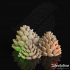 Pine Cone Bunch image