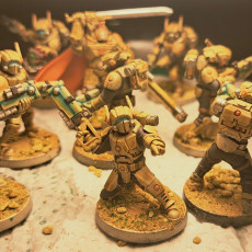 Picture of print of Tarion Clone Infantry