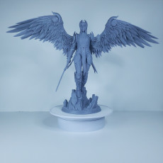 Picture of print of Resplendent Paladin (298mm) + Bust (156mm)