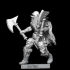 Nbrbn02: Northern Barbarian with 2 axes (pre-supported) image