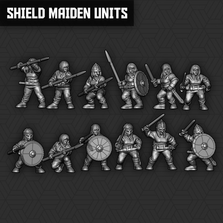 Viking Shield Maiden Units's Cover