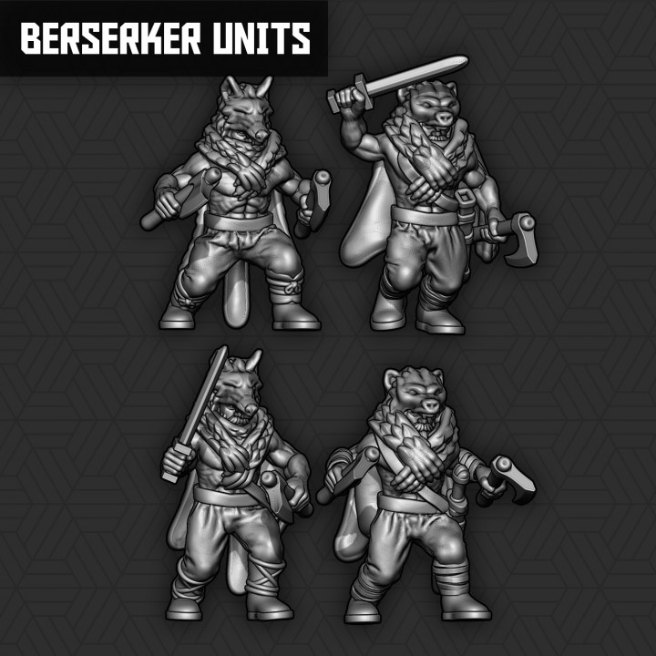 Viking Berserker Units's Cover