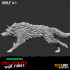 Wolf 1 image