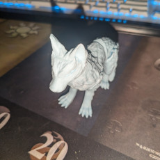 Picture of print of Cinder Wolf