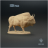 Bison priscus : The Steppe Bison image