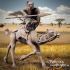 Tribal Camel Rider - Model A - Presupported image