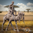 Tribal Camel Riders - Presupported image