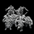Dwarf Tusker warband (Supported) Suitable for 32mm gaming. image