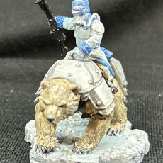 Picture of print of GrimGuard Bear Riders