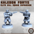 Elite Kill Squad + Expansion x15 - Kaledon Fortis image