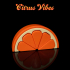 Citrus Vibes image