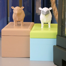 Picture of print of Sheep box