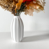 The Akin Vase, Modern and Unique Home Decor for Dried and Preserved Flower Arrangement  | STL File image