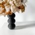 The Orbos Vase, Modern and Unique Home Decor for Dried and Preserved Flower Arrangement  | STL File image