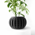 The Amada Planter Pot with Drainage | Tray & Stand Included | Modern and Unique Home Decor for Plants and Succulents  | STL File image