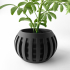 The Amada Planter Pot with Drainage | Tray & Stand Included | Modern and Unique Home Decor for Plants and Succulents  | STL File image