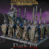 Dark elves Spearmen image