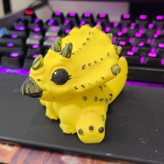 Picture of print of Cute Triceratops  (NO SUPPORTS)