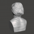 Clara Barton - High-Quality STL File for 3D Printing (PERSONAL USE) image