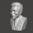 Nelson Mandela - High-Quality STL File for 3D Printing (PERSONAL USE) image