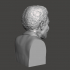Nelson Mandela - High-Quality STL File for 3D Printing (PERSONAL USE) image